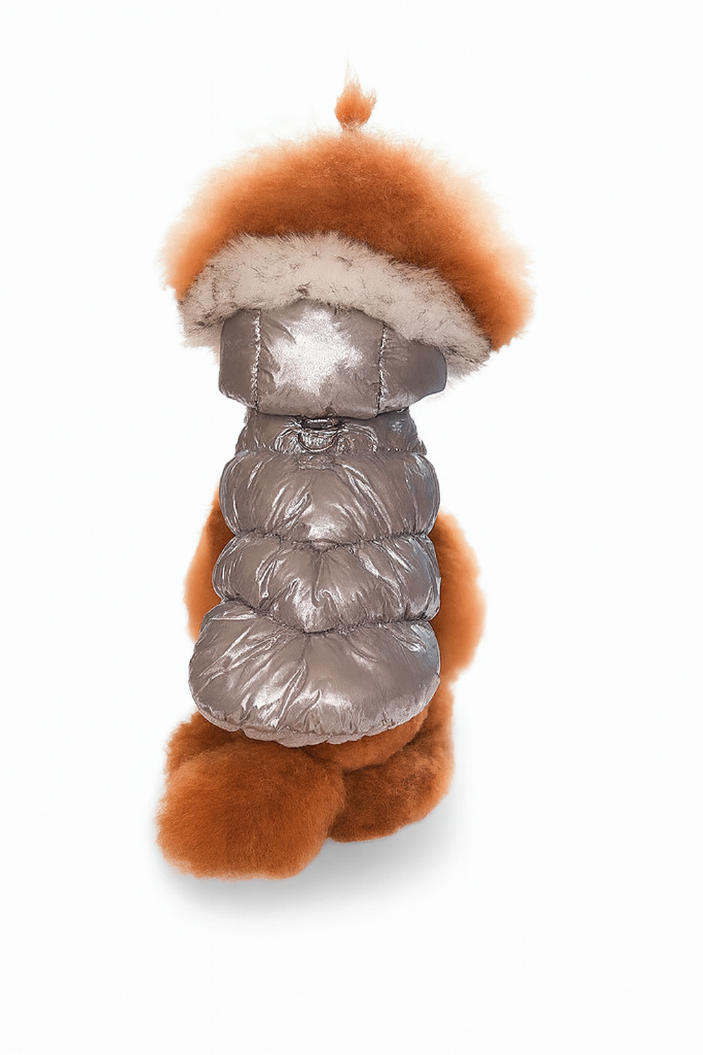 Veste d’Hiver Perlée pour Chiens – Douce, Chaude et Élégante