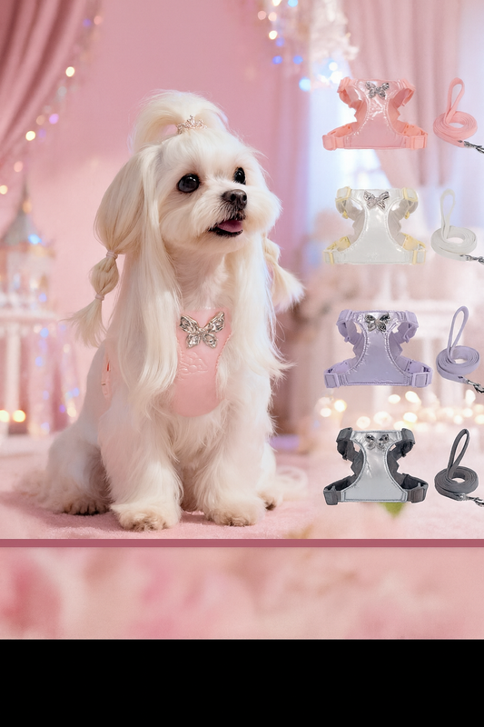 Harnais Papillon Anti-Traction pour Petits Chiens – Confort & Style