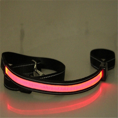 Collier Lumineux LED Rechargeable pour Chiens (Solaire + USB