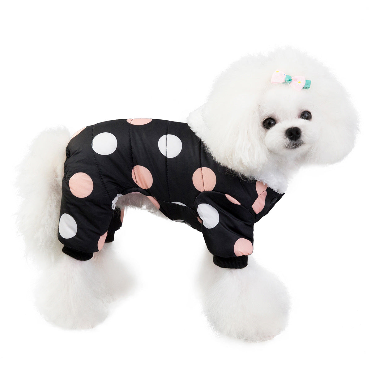 Manteau en coton à pois, quatre pattes, chaud pour chien