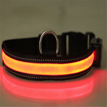 Collier Lumineux LED Rechargeable pour Chiens (Solaire + USB
