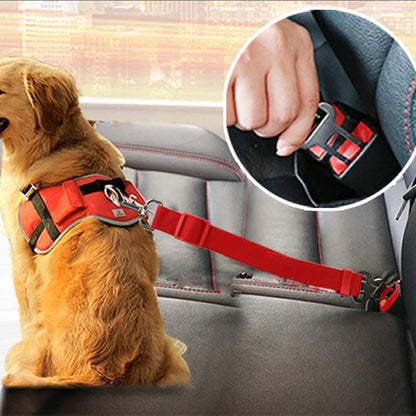 Ceinture de Sécurité Réglable pour Chien – Attache Auto Antichoc