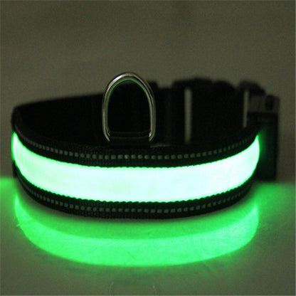 Collier Lumineux LED Rechargeable pour Chiens (Solaire + USB