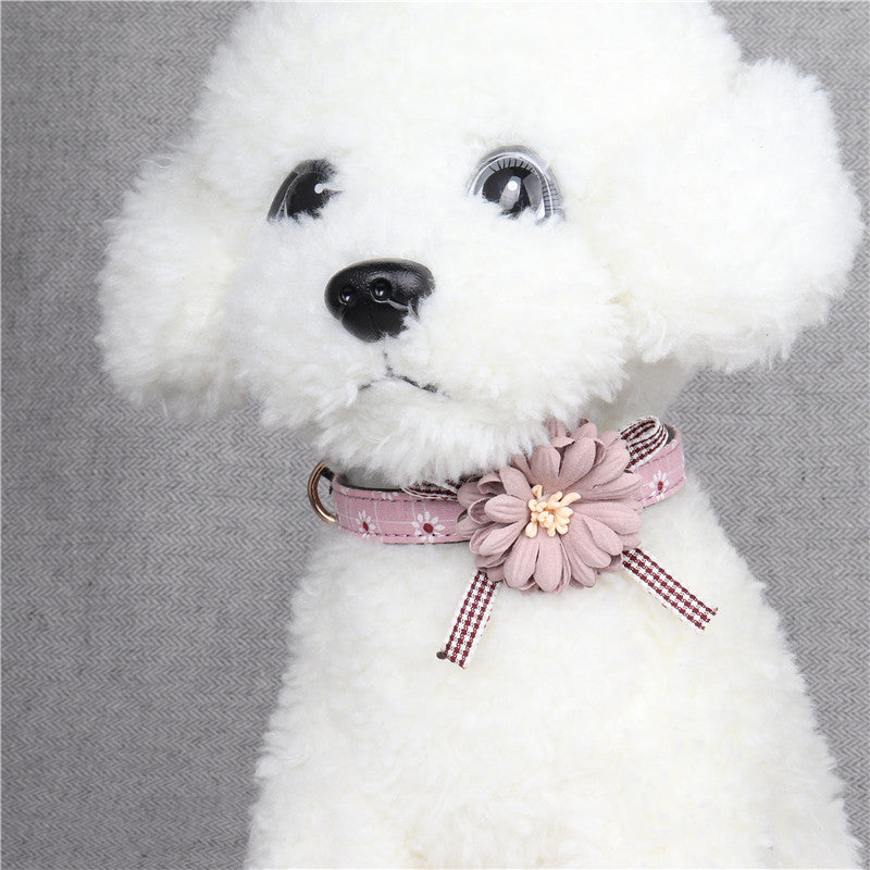 Collier pour Chien & Chat – Fleur Élégante