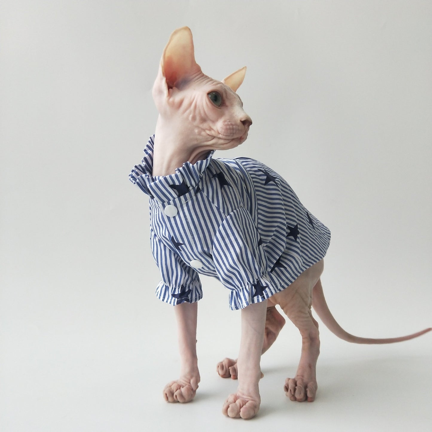 Chemise Légère en Coton pour Chats Sphynx – Respirante & Confortable