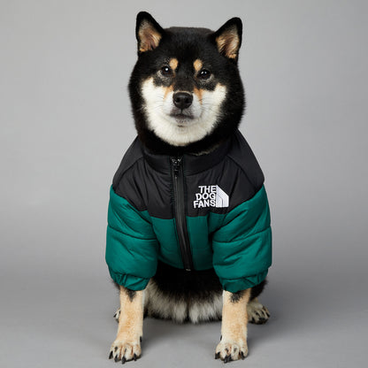Veste Imperméable pour Chien – Confort et Protection Hivernale
