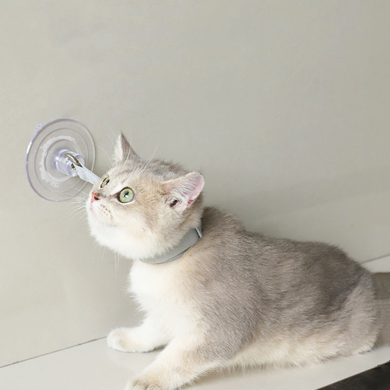 Collier de Bain avec Ventouse – Fixation Sécurisée pour Chats et Chiens