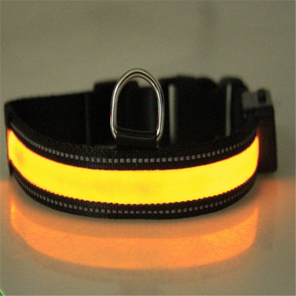 Collier Lumineux LED Rechargeable pour Chiens (Solaire + USB