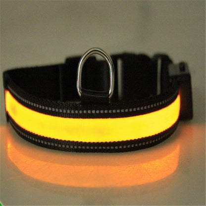 Collier Lumineux LED Rechargeable pour Chiens (Solaire + USB