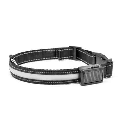 Collier Lumineux LED Rechargeable pour Chiens (Solaire + USB