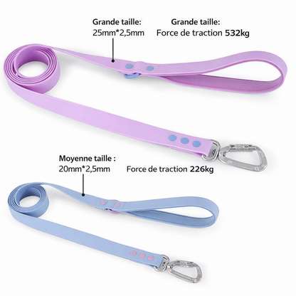 Harnais pour Chien Anti-Tirage – Idéal pour Promenades Quotidiennes