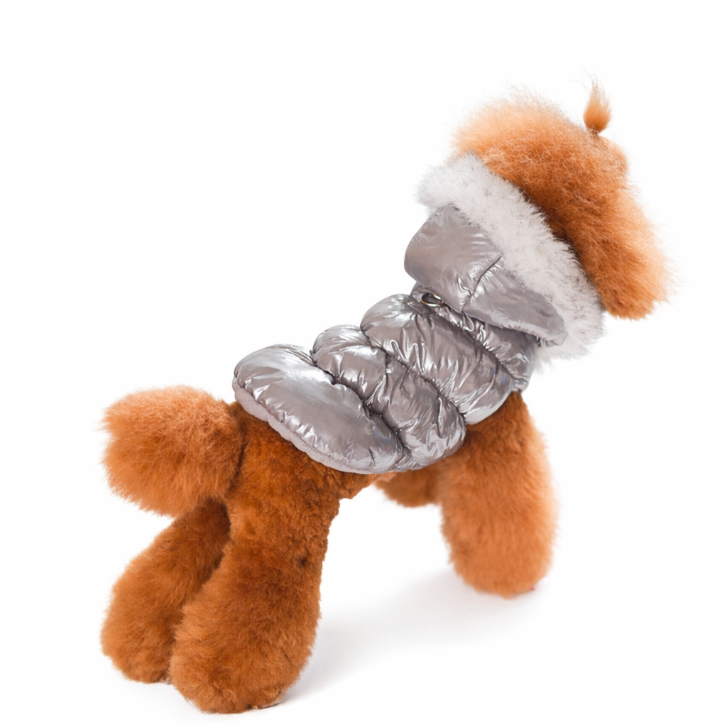 Veste d’Hiver Perlée pour Chiens – Douce, Chaude et Élégante