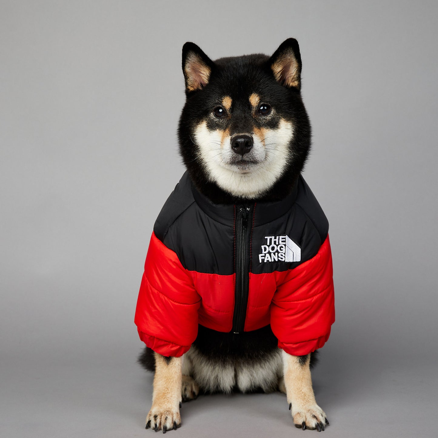 Veste Imperméable pour Chien – Confort et Protection Hivernale