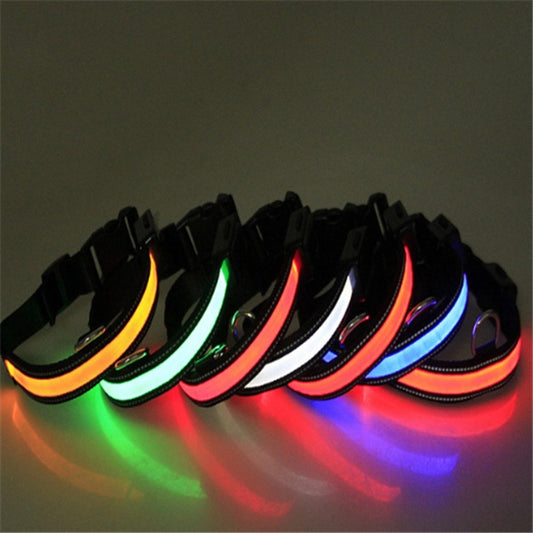 Collier Lumineux LED Rechargeable pour Chiens (Solaire + USB