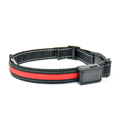 Collier Lumineux LED Rechargeable pour Chiens (Solaire + USB