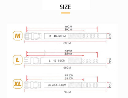 Collier Militaire Ajustable pour Chien – Boucle Renforcée & Anneau en D Métallique