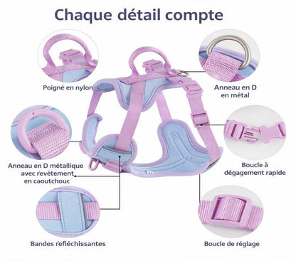Harnais pour Chien Anti-Tirage – Idéal pour Promenades Quotidiennes