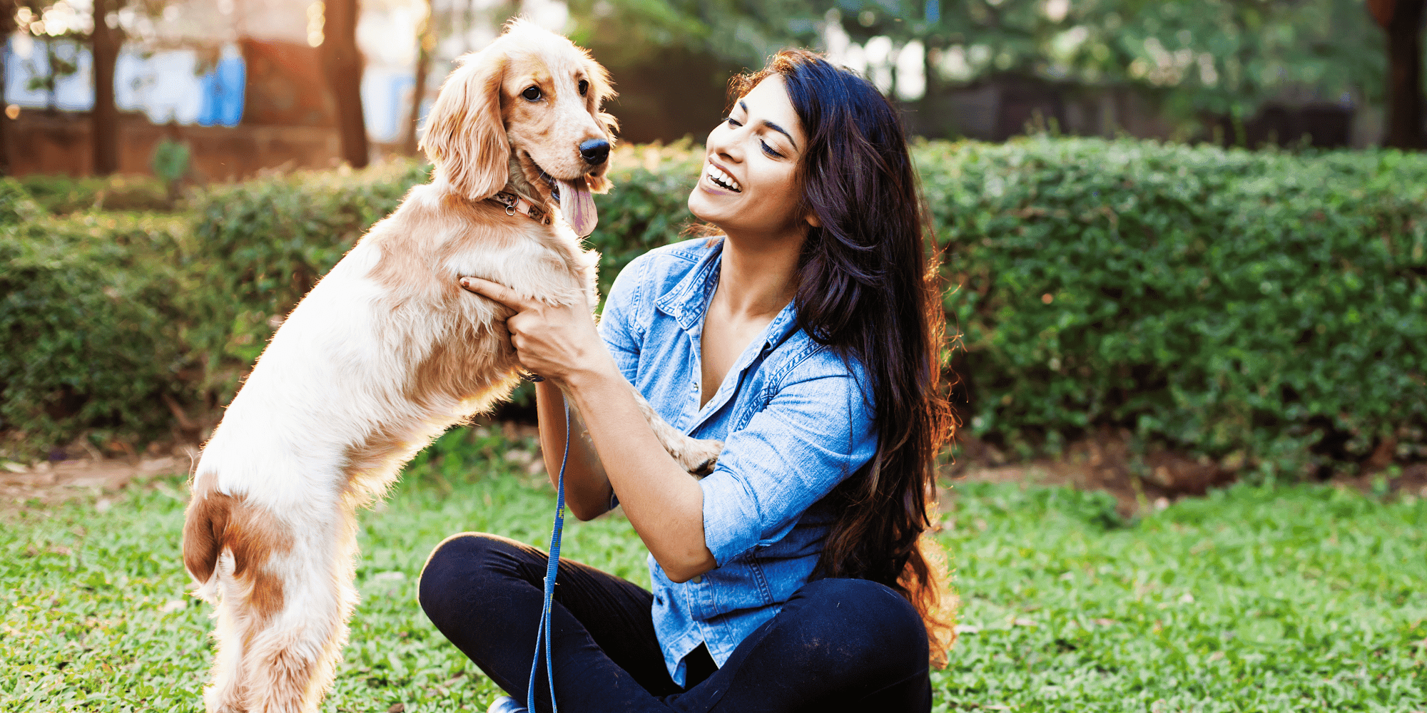 Image produit - Banner-2