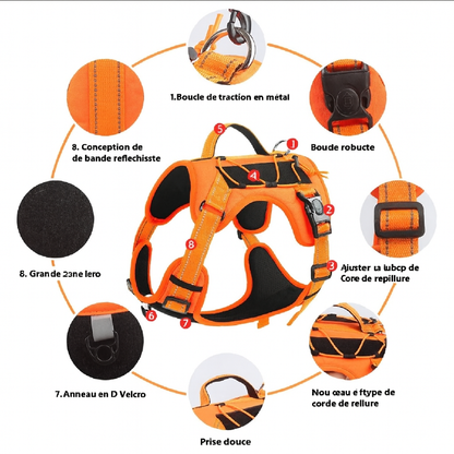 Harnais pour chien avec laisse intégrée – Anti-fuite