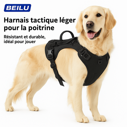 Harnais pour chien avec laisse intégrée – Anti-fuite