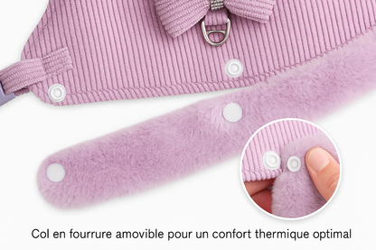 Harnais Chaud pour Petit Chien avec Laisse – Fourrure Amovible & Nœud Décoratif