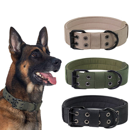 Collier Militaire Ajustable pour Chien – Boucle Renforcée & Anneau en D Métallique
