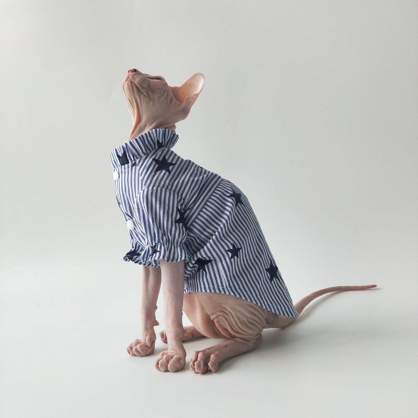 Chemise Légère en Coton pour Chats Sphynx – Respirante & Confortable