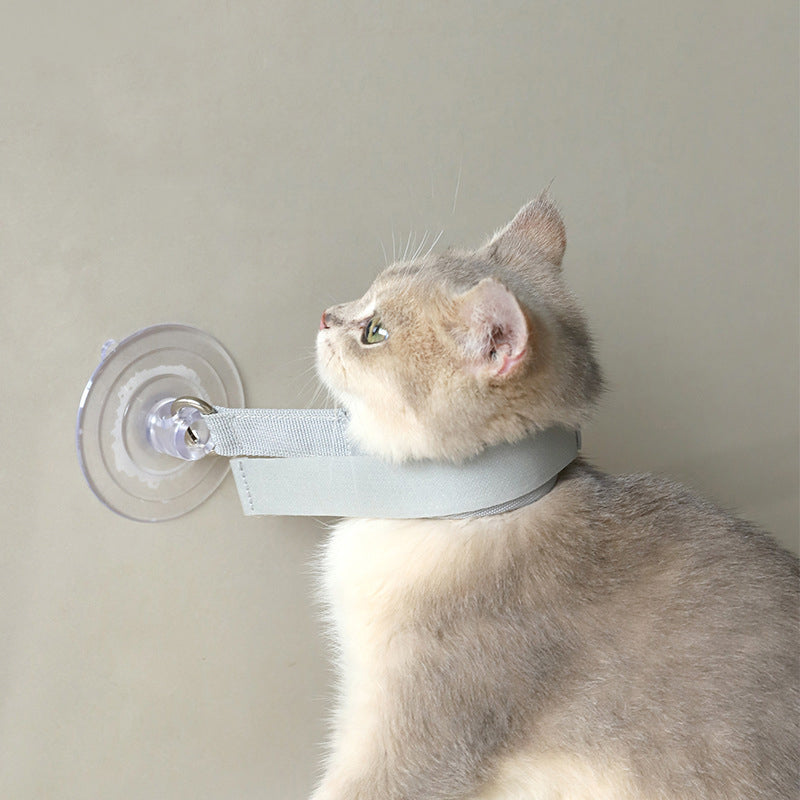 Collier de Bain avec Ventouse – Fixation Sécurisée pour Chats et Chiens