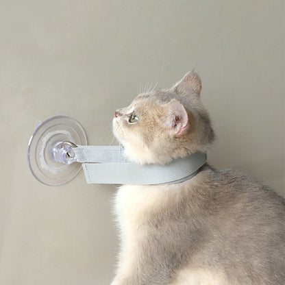 Collier de Bain avec Ventouse – Fixation Sécurisée pour Chats et Chiens