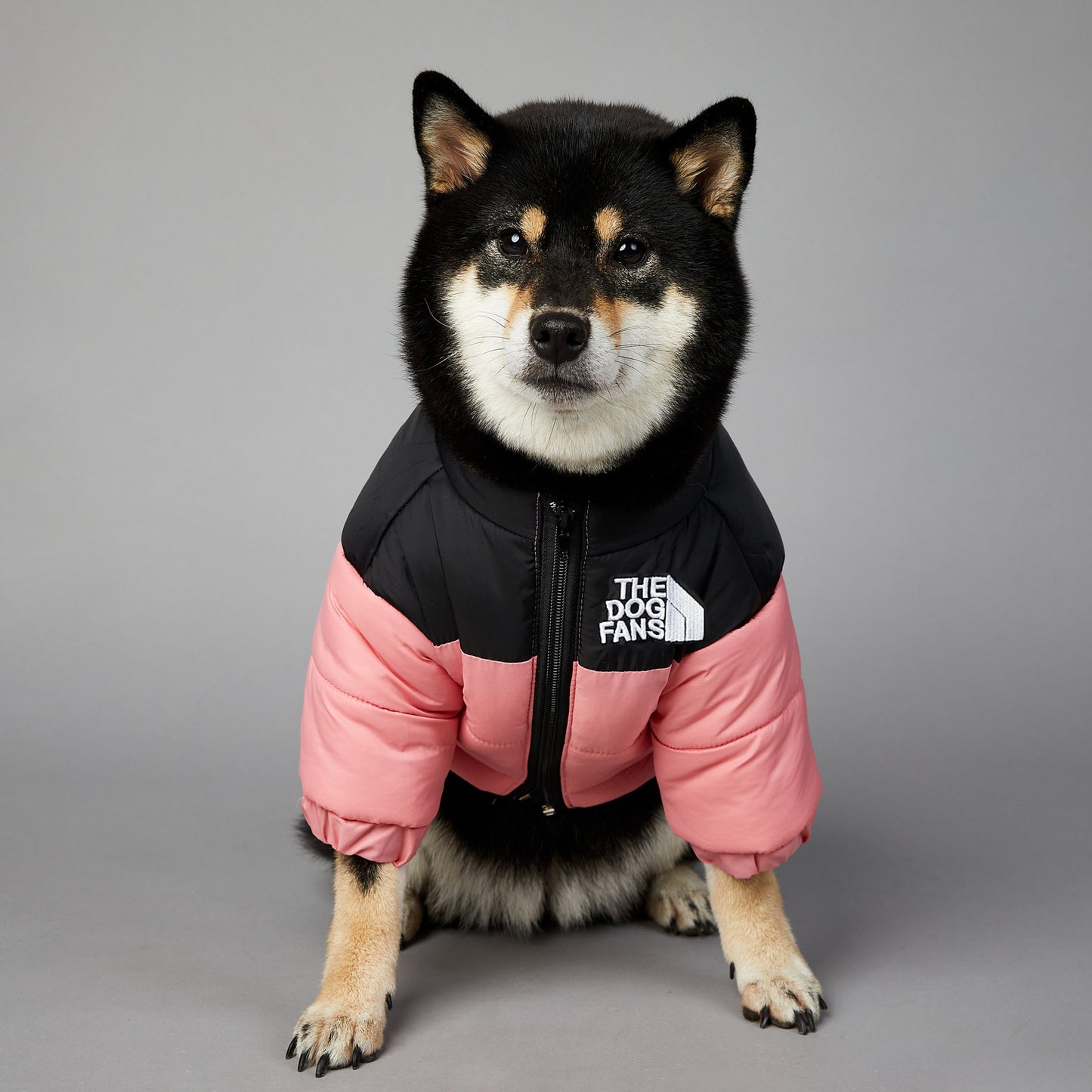 Veste Imperméable pour Chien – Confort et Protection Hivernale