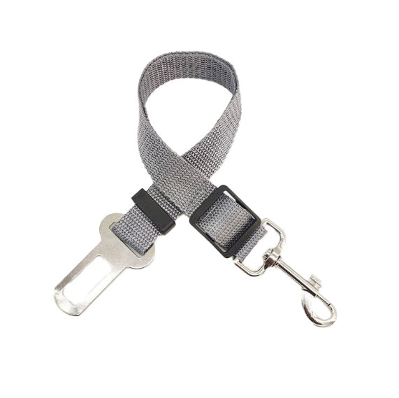 Ceinture de Sécurité Réglable pour Chien – Attache Auto Antichoc