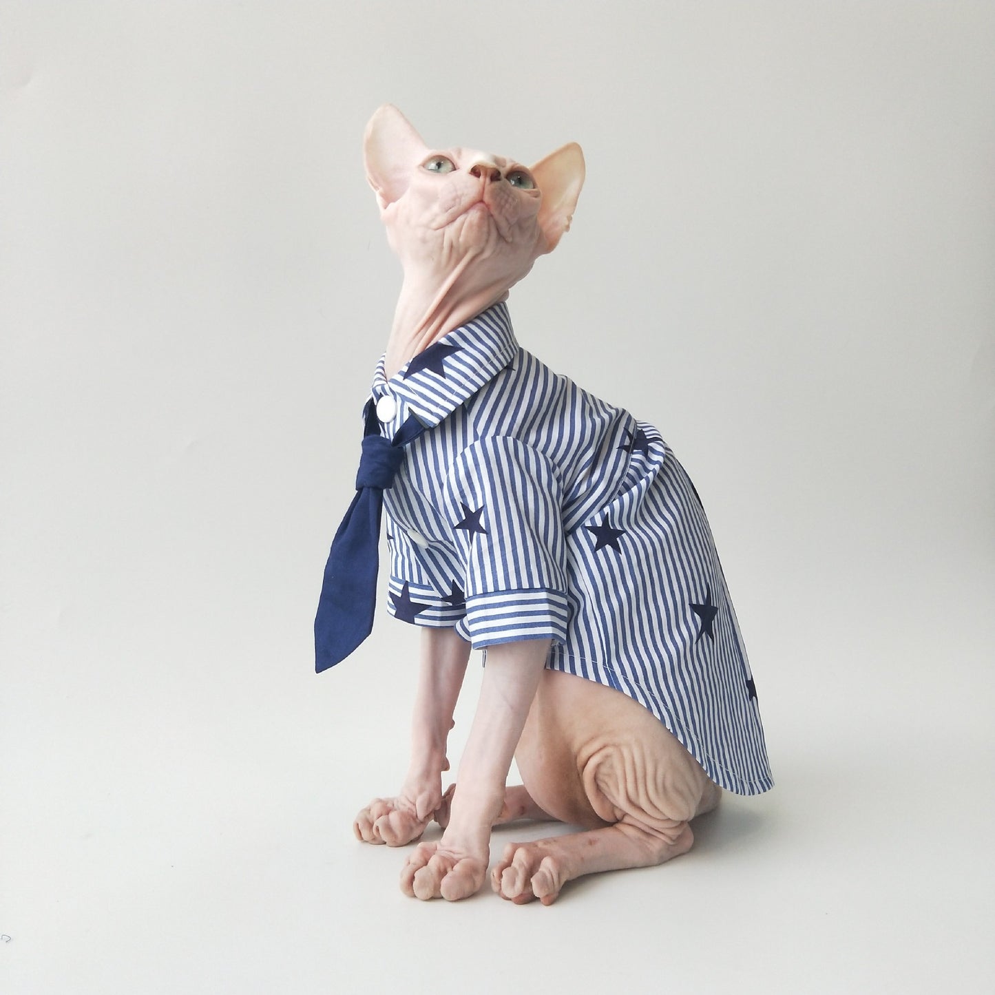 Chemise Légère en Coton pour Chats Sphynx – Respirante & Confortable